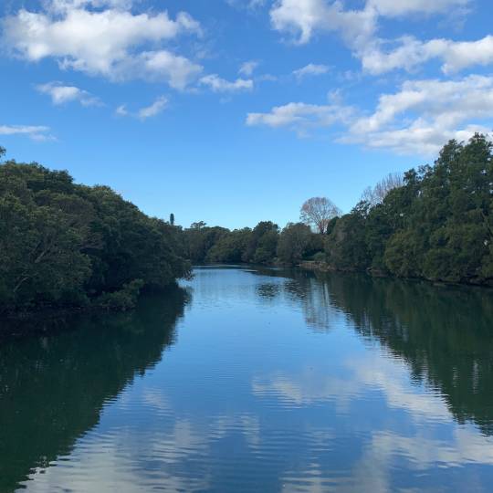 200_9282_10Aug2022175040_Cooks River view 540x540.jpg